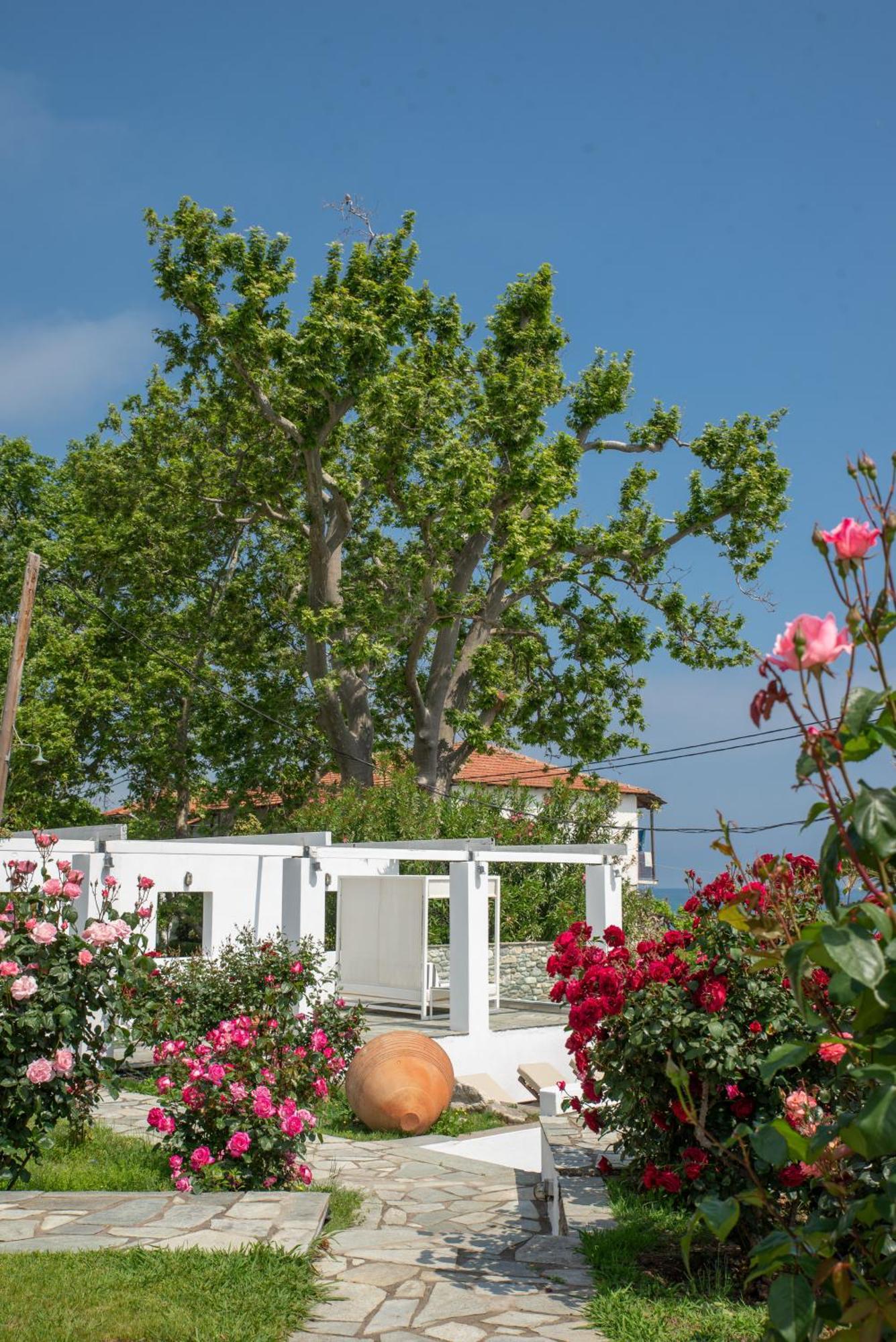 Aeolos Hotel & Villas - Pelion Khorevtó Eksteriør bilde