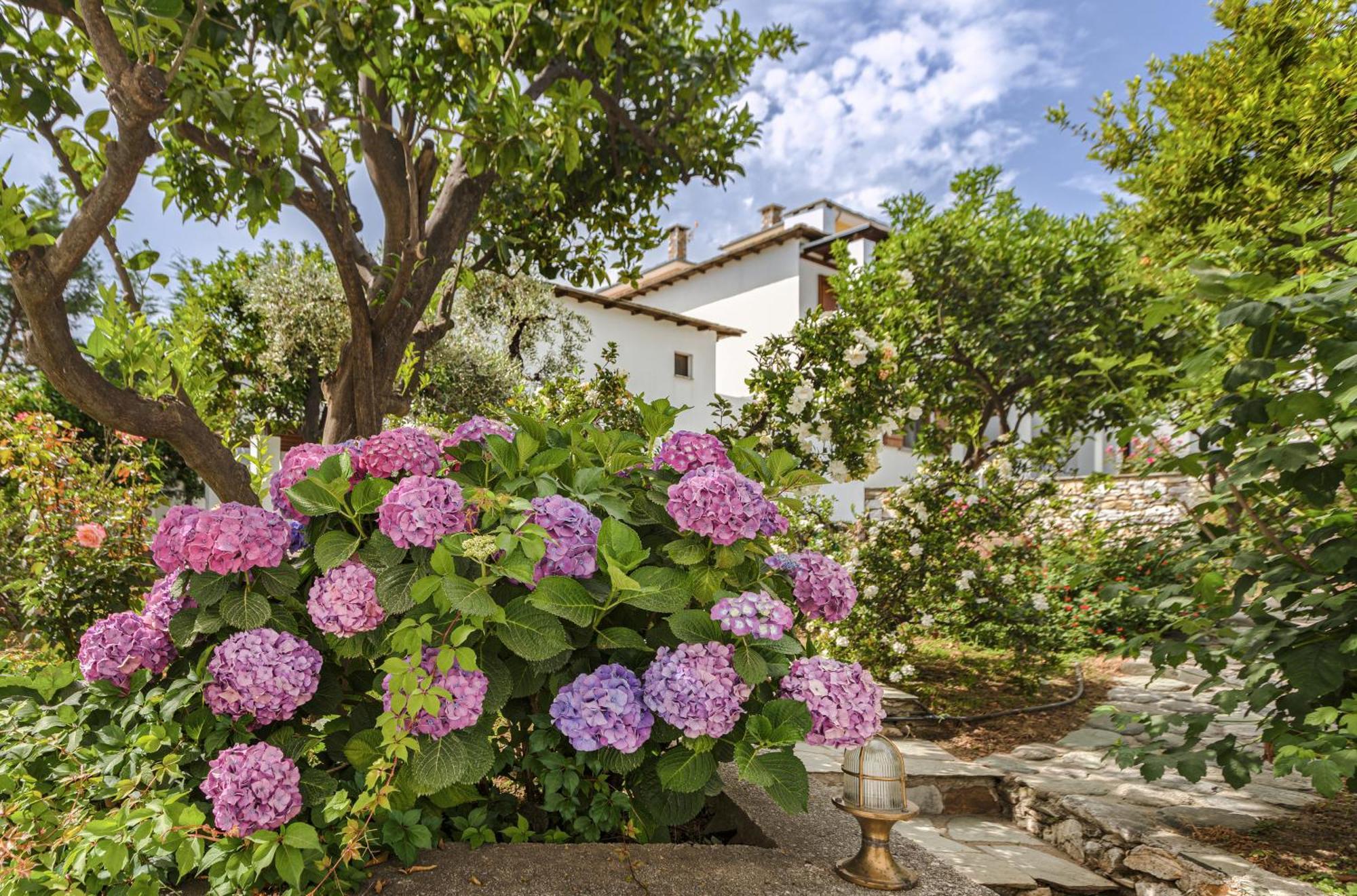 Aeolos Hotel & Villas - Pelion Khorevtó Eksteriør bilde